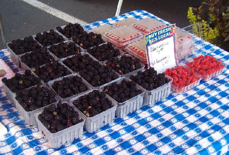 blackberries & raspberries
