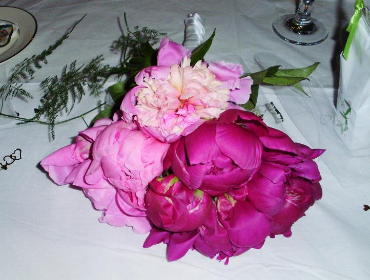 wedding peonies