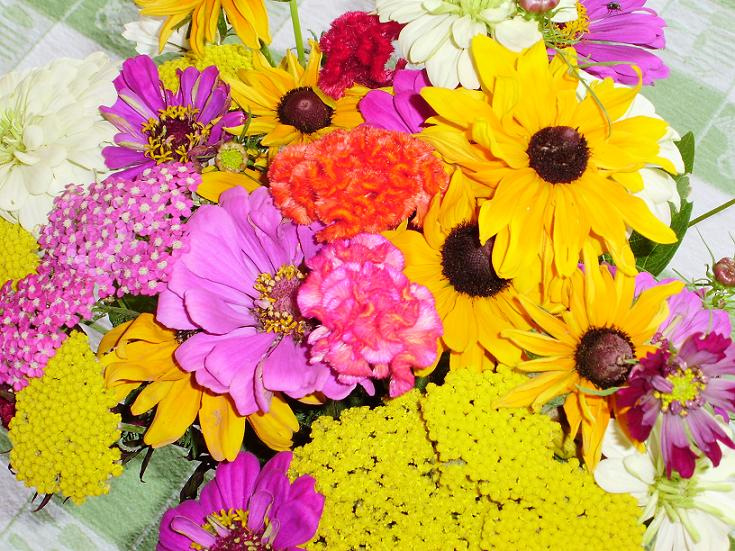 summerbouquet