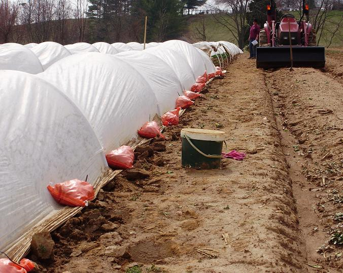 tunnel with rock bags